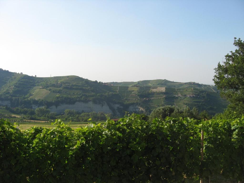 Agriturismo Cascina Serra Cossano Belbo Zimmer foto