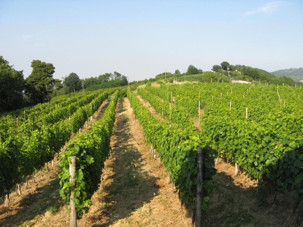Agriturismo Cascina Serra Cossano Belbo Zimmer foto